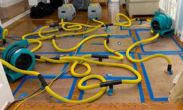Professional Structural Drying And Dehumidification technician working in Genesee, MI